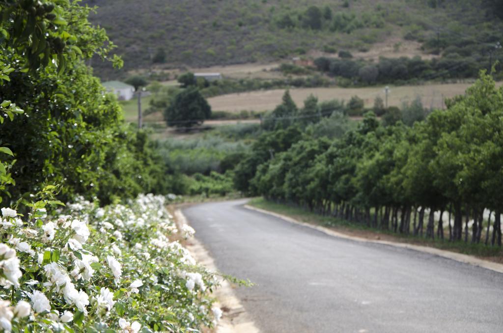 Bushmanspad Estate Boesmanspad Buitenkant foto